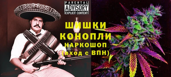 сатива Осташков