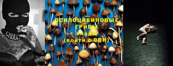 сатива Осташков