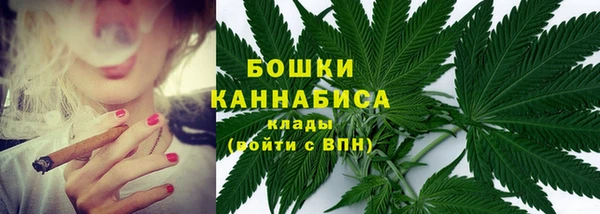 сатива Осташков