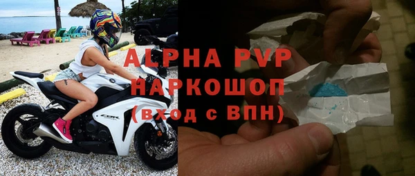 сатива Осташков