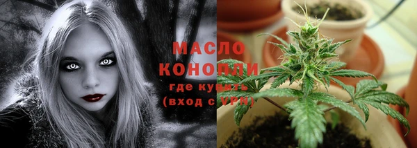 сатива Осташков