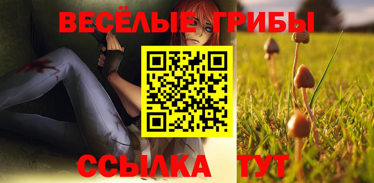 Псилоцибиновые грибы Cubensis Минусинск