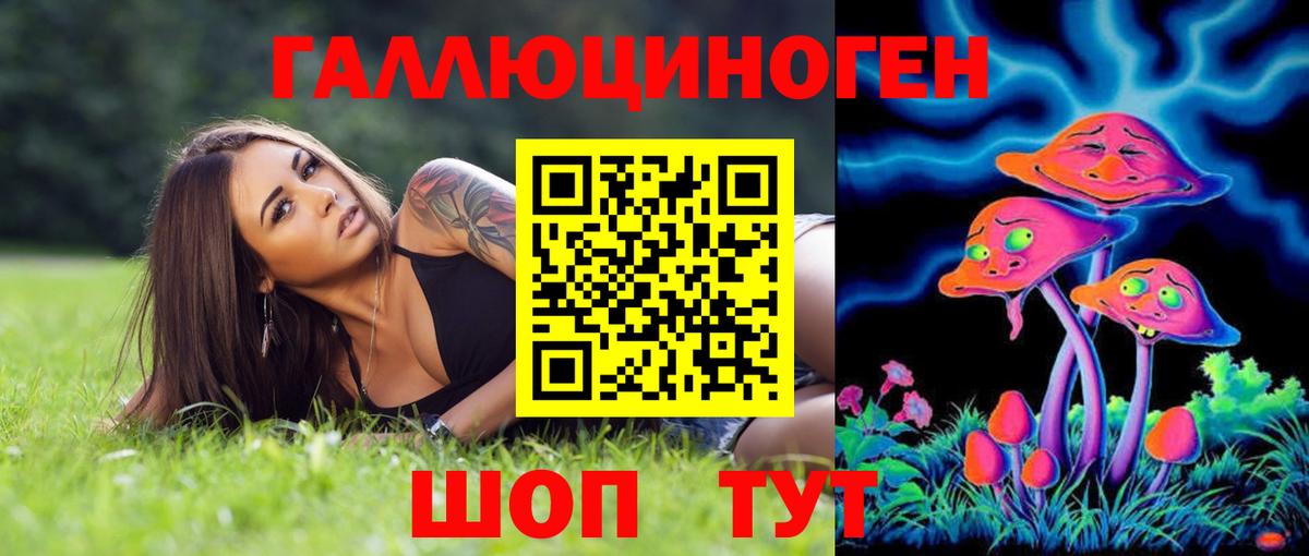 Галлюциногенные грибы MAGIC MUSHROOMS  Вход с VPN  закладка  Минусинск 