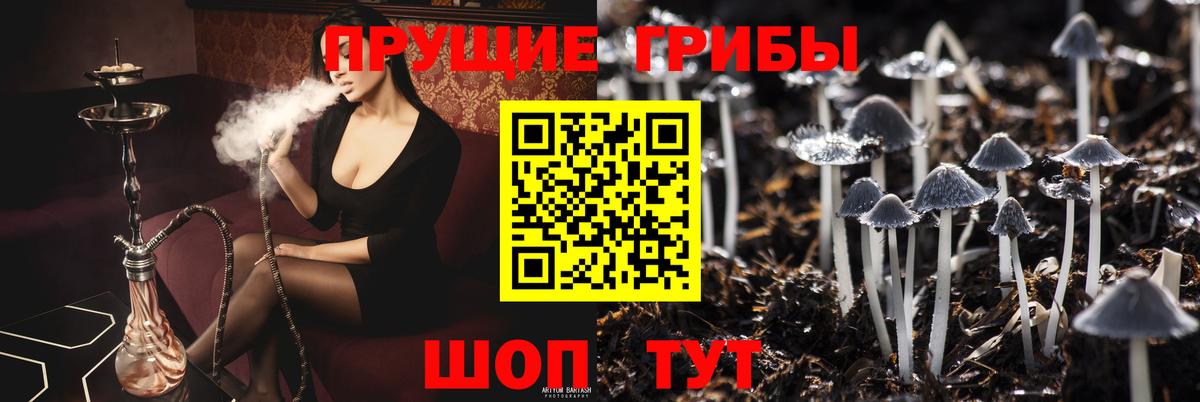 Псилоцибиновые грибы Magic Shrooms Минусинск